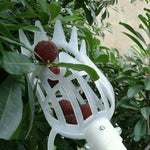 Strumento in plastica per frutta con prugna e albicocca, 20cm