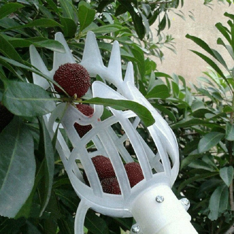 Strumento in plastica per frutta con prugna e albicocca, 20cm
