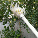 Strumento in plastica per frutta con prugna e albicocca, 20cm