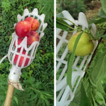 Strumento in plastica per frutta con prugna e albicocca, 20cm