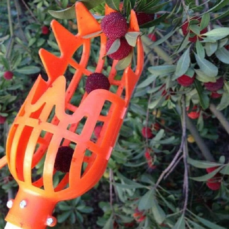 Strumento in plastica per frutta con prugna e albicocca, 20cm