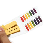 Kit cartine tornasole PH 1-14 con 80 strisce