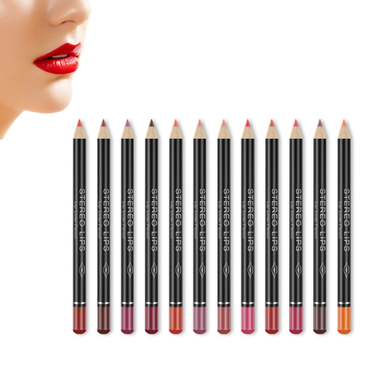 Matita labbra opaca 12 colori nude set trucco