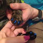 20 cappucci in silicone per unghie gatti XS-S-M-L