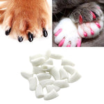 20 cappucci in silicone per unghie gatti XS-S-M-L