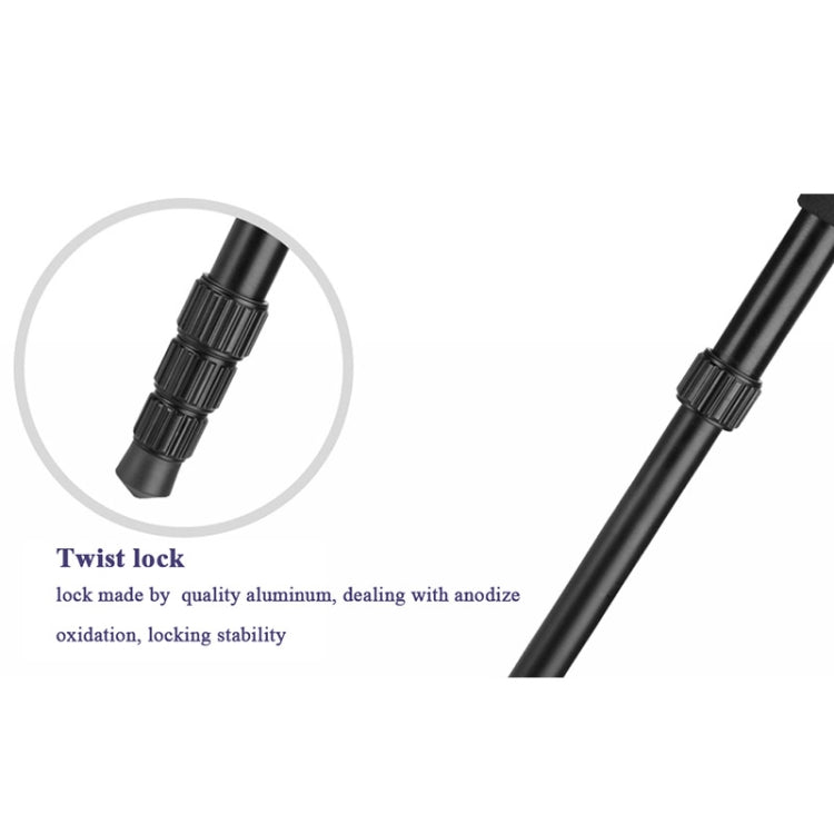 Q222 Supporto per monopiede con supporto per treppiede portatile a 4 sezioni con gambe pieghevoli in lega di alluminio con teste a sfera