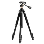 Q338 Gambe pieghevoli a 4 sezioni Supporto per treppiede in lega di alluminio per trasmissione dal vivo, Q338With Three-dimensional Head, Q338 With Ball Head