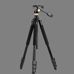 Q338 Gambe pieghevoli a 4 sezioni Supporto per treppiede in lega di alluminio per trasmissione dal vivo, Q338With Three-dimensional Head, Q338 With Ball Head