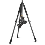 Q338 Gambe pieghevoli a 4 sezioni Supporto per treppiede in lega di alluminio per trasmissione dal vivo, Q338With Three-dimensional Head, Q338 With Ball Head