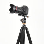 Q338 Gambe pieghevoli a 4 sezioni Supporto per treppiede in lega di alluminio per trasmissione dal vivo, Q338With Three-dimensional Head, Q338 With Ball Head
