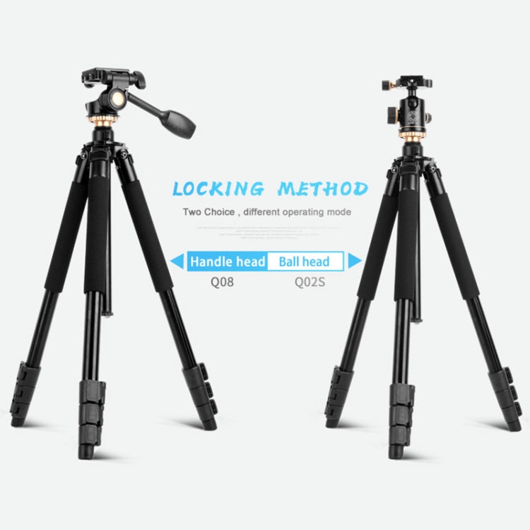 Q338 Gambe pieghevoli a 4 sezioni Supporto per treppiede in lega di alluminio per trasmissione dal vivo, Q338With Three-dimensional Head, Q338 With Ball Head
