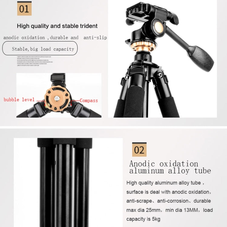 Q338 Gambe pieghevoli a 4 sezioni Supporto per treppiede in lega di alluminio per trasmissione dal vivo, Q338With Three-dimensional Head, Q338 With Ball Head