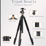 Q338 Gambe pieghevoli a 4 sezioni Supporto per treppiede in lega di alluminio per trasmissione dal vivo, Q338With Three-dimensional Head, Q338 With Ball Head