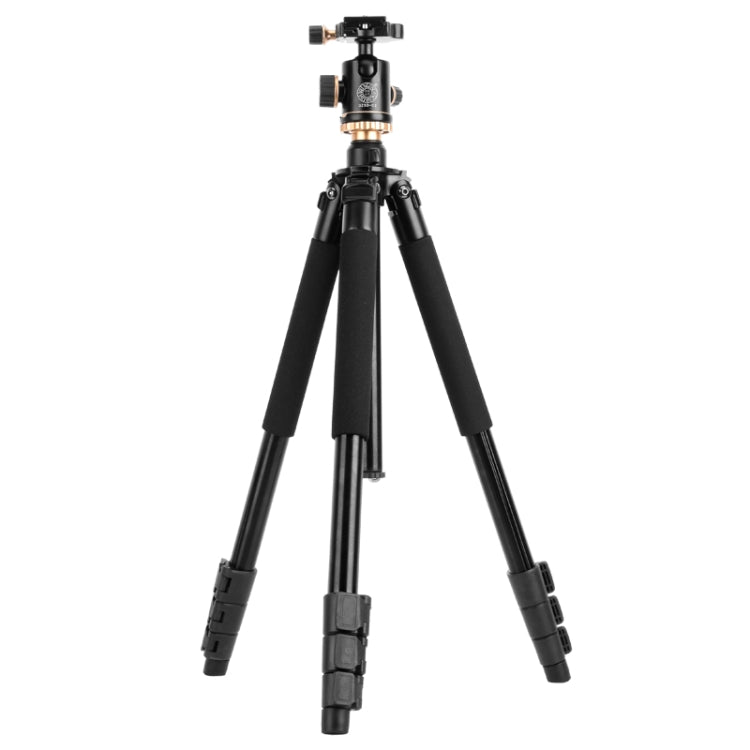 Q338 Gambe pieghevoli a 4 sezioni Supporto per treppiede in lega di alluminio per trasmissione dal vivo, Q338With Three-dimensional Head, Q338 With Ball Head