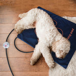 Tappetino riscaldante per animali domestici Coperta elettrica impermeabile e antigraffio, dimensioni: 60x45 cm, US Plug, JP Plug, EU Plug, UK Plug