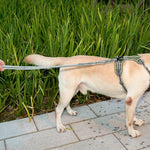 Corda da trazione elastica riflettente in nylon con corda da trazione anti-flagello per cani, Elastic Stretch Yellow, Elastic Stretch Green