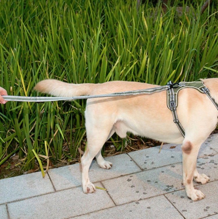 Corda da trazione elastica riflettente in nylon con corda da trazione anti-flagello per cani, Elastic Stretch Yellow, Elastic Stretch Green