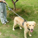 Corda da trazione elastica riflettente in nylon con corda da trazione anti-flagello per cani, Elastic Stretch Yellow, Elastic Stretch Green