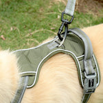 Corda da trazione elastica riflettente in nylon con corda da trazione anti-flagello per cani, Elastic Stretch Yellow, Elastic Stretch Green