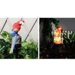 Lampada da giardino solare in resina con pappagallo