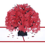 Biglietto d'auguri tridimensionale per albero di acero Biglietto d'auguri di compleanno Biglietto 3D con foglia d'acero rossa, Maple Tree Greeting Card