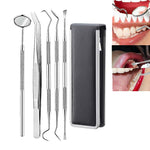 Set di strumenti per dentista per strumenti per tartaro per cure odontoiatriche in acciaio inossidabile, 3 in 1 Silver Box, 5 in 1 Silver Box, 6 in 1 Silver Box, 6 in 1 Pink Box, 6 in 1 Black Box, 5 in 1 Steel Side Leather Case