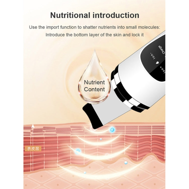 Strumento di bellezza per peeling facciale con pala ad ultrasuoni