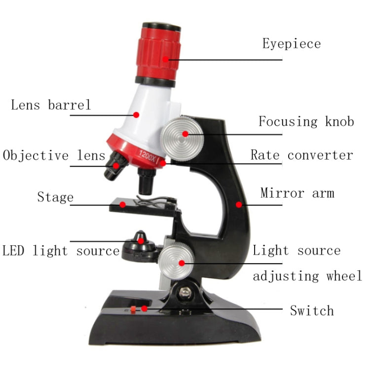 Set di microscopi per bambini Simulazione di esperimenti scientifici 1200 volte Forniture scientifiche e didattiche