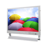 ZGYNK TB1016 Schermo LCD da 10 pollici Attrezzatura per prelievo dell'orecchio Display per archiviazione video ad alta definizione, spina americana, Regular Version, Ear Picking Video Version