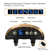 Dispositivo elettronico di addestramento per cani con display digitale Collare per addestramento antiabbaio, Crown Pattern