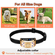 Collare elettronico antiabbaio per cani con display digitale