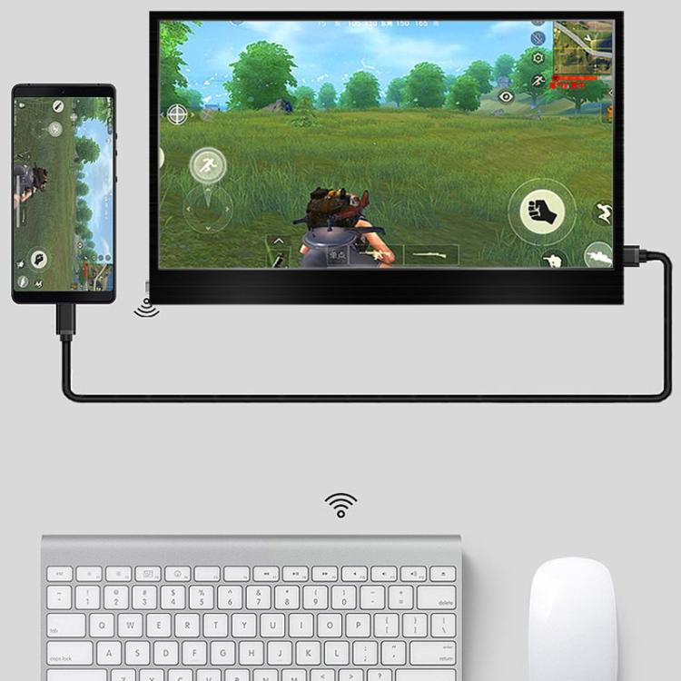 Display estensore USB-C per laptop 10.1-15.6 pollici
