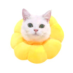 2 pezzi di forniture per animali domestici, copricapo per gatti, giocattolo per gatti, anello anti-morso, copertura protettiva, XS, S, M, L