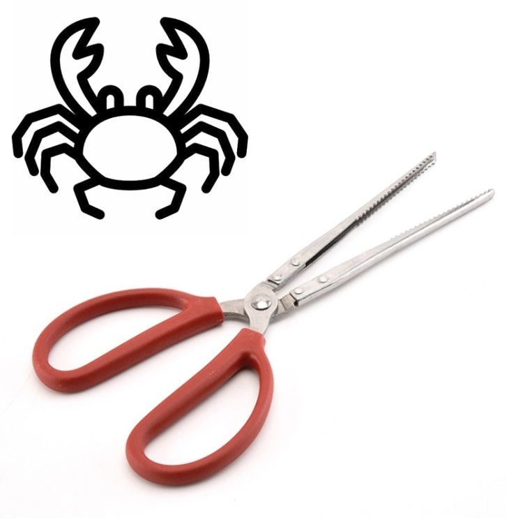 Pinze per granchio Pinze per loach Strumento per il mare, 30cm Straight Clip, 38cm Straight Clip, 38cm Curved Clip, 53cm Ctraight Clip, 53cm Curved Clip