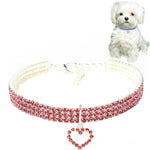 2 pezzi di forniture per animali domestici, accessori elastici per cani e gatti, collari per animali domestici, S, M, L