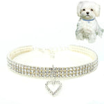 2 pezzi di forniture per animali domestici, accessori elastici per cani e gatti, collari per animali domestici, S, M, L