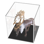 Scatola da appoggio per vetrina in plexiglass con coperchio per display in acrilico trasparente per fotocamera, Large 24x24x24cm, Small 10x10x10cm