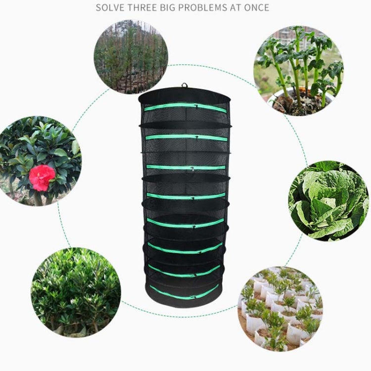 Rete per asciugare le erbe sospesa Stendino pieghevole Rete per asciugare le piante con cerniera chiusa, 60cm Diameter 2 Layers, 60cm Diameter 4 Layers, 60cm Diameter 6 Layers, 60cm Diameter 8 Layers