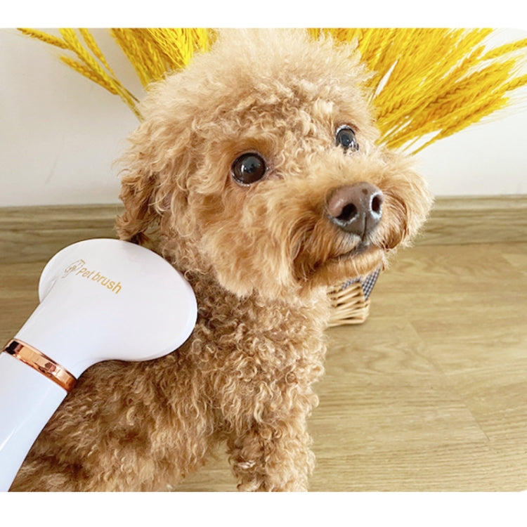 Asciugacapelli per animali domestici Pettine elettrico per la pulizia di cani e gatti, EU Plug, US Plug, AU Plug, UK Plug