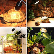 Portalampada abbronzante tartaruga UVB Portalampada per riscaldamento solare per animali a spettro completo, spina europea, EU Plug