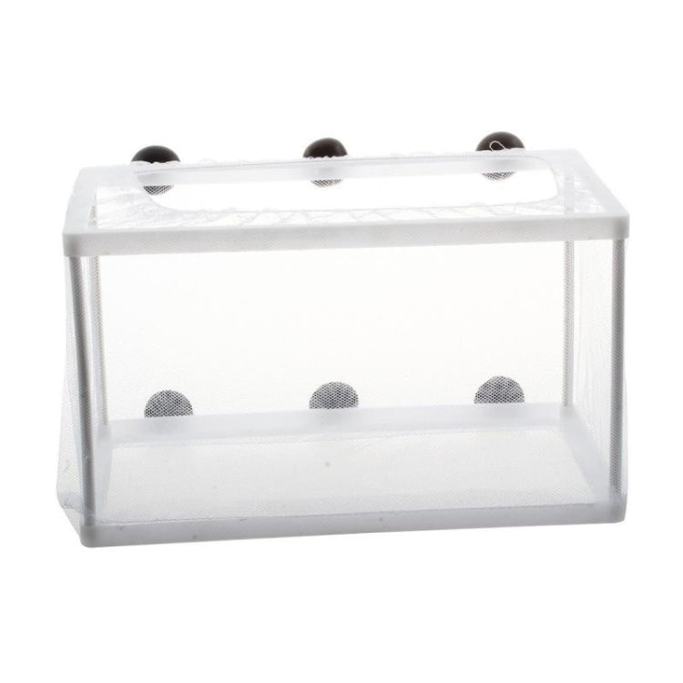 Incubatrice isolamento per piccoli pesci tropicali 27x16x3cm