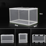 Incubatrice isolamento per piccoli pesci tropicali 27x16x3cm