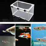 Incubatrice isolamento per piccoli pesci tropicali 27x16x3cm