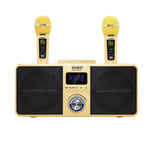 Microfono wireless Bluetooth SDRD SD309 con altoparlanti