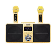 Microfono wireless Bluetooth SDRD SD309 con altoparlanti