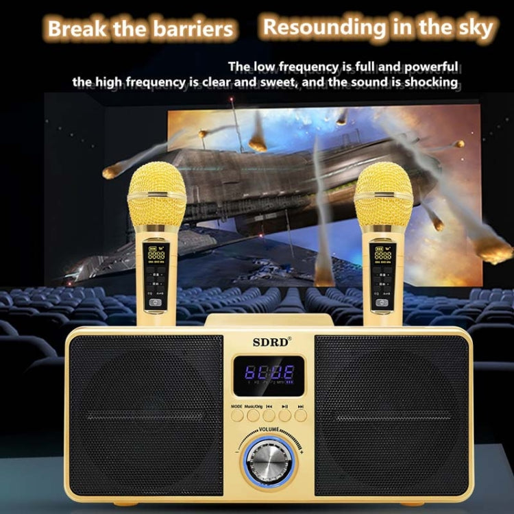 Microfono wireless Bluetooth SDRD SD309 con altoparlanti