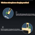 Microfono wireless Bluetooth SDRD SD309 con altoparlanti