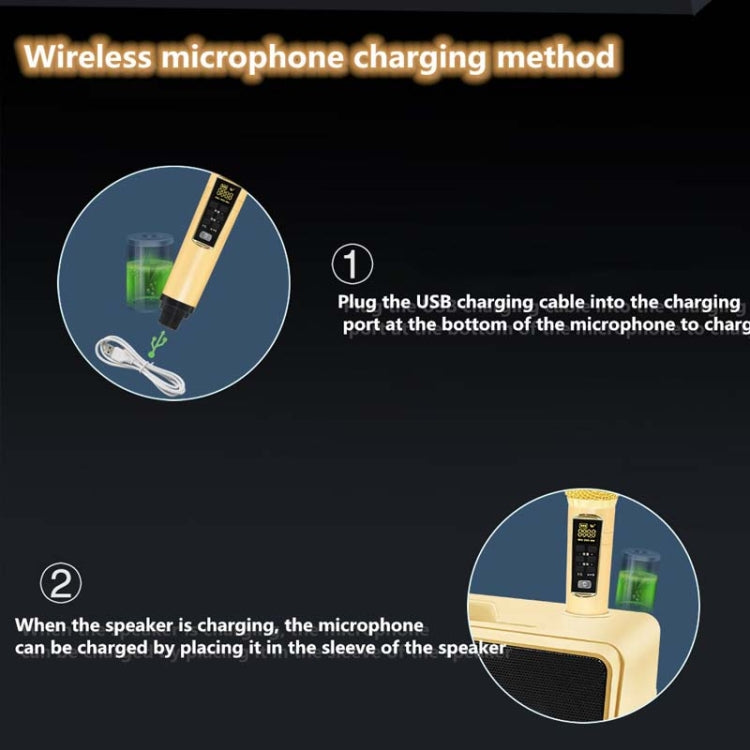 Microfono wireless Bluetooth SDRD SD309 con altoparlanti