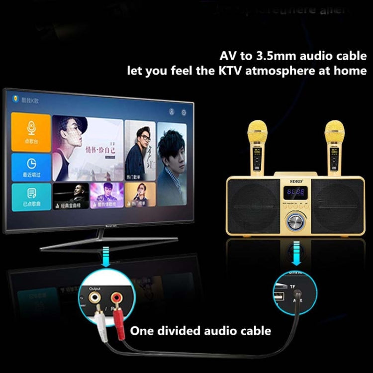 SDRD SD309 Microfono wireless Bluetooth Audio Macchina tutto in uno