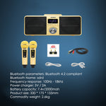 Microfono wireless Bluetooth SDRD SD309 con altoparlanti